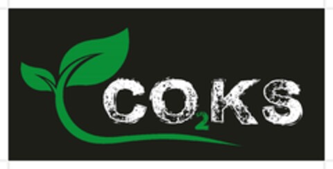 CO2KS Logo (EUIPO, 29.05.2024)