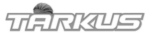 TARKUS Logo (EUIPO, 21.01.2008)
