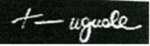 UGUALE Logo (EUIPO, 08.08.2014)