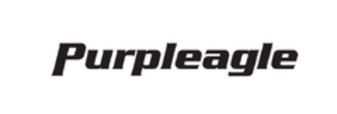 Purpleagle Logo (EUIPO, 30.04.2015)