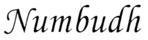 Numbudh Logo (EUIPO, 03/21/2020)