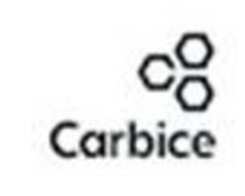 Carbice Logo (EUIPO, 01/18/2023)