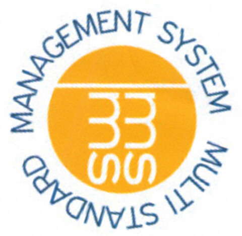 MULTI STANDARD MANAGEMENT SYSTEM Logo (EUIPO, 16.10.2008)