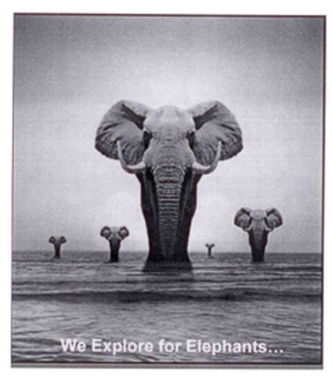 WE EXPLORE FOR ELEPHANTS Logo (EUIPO, 31.08.2011)