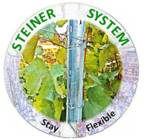 Steiner System Stay Flexible Logo (EUIPO, 08.02.2016)