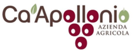 CA' APOLLONIO AZIENDA AGRICOLA Logo (EUIPO, 03/02/2018)