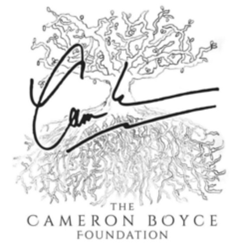 THE CAMERON BOYCE FOUNDATION Logo (EUIPO, 26.02.2021)