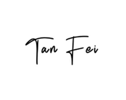 Tan Fei Logo (EUIPO, 28.12.2023)