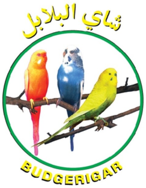 Budgerigar Logo (EUIPO, 08/10/2009)