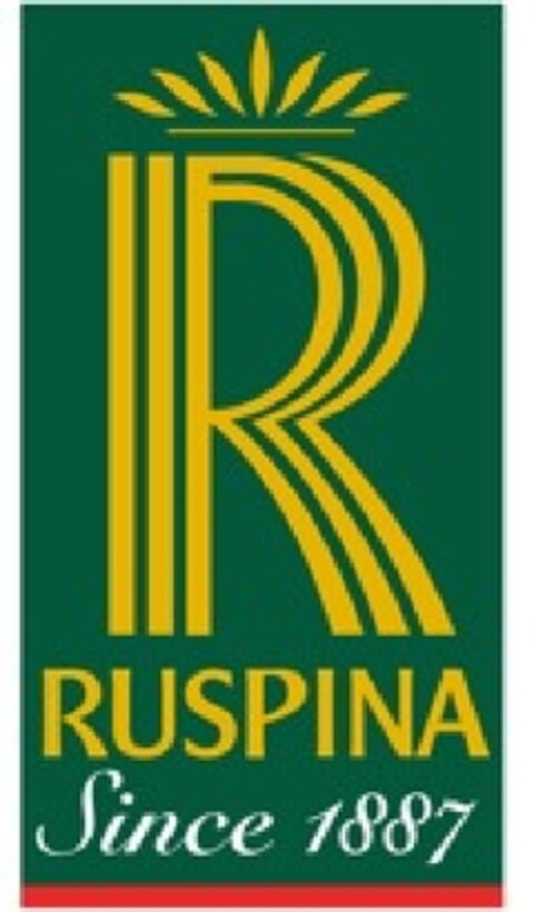 R RUSPINA Since 1887 Logo (EUIPO, 17.04.2013)