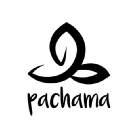 pachama Logo (EUIPO, 30.05.2017)