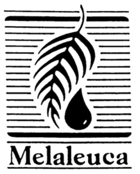 Melaleuca Logo (EUIPO, 03.12.1998)
