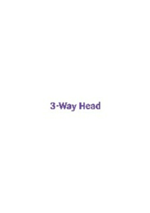 3-Way Head Logo (EUIPO, 06.07.2005)