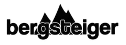 bergsteiger Logo (EUIPO, 08.12.2010)