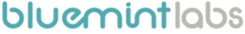 BLUEMINTLABS Logo (EUIPO, 07.06.2016)