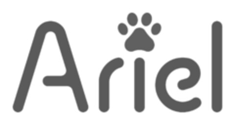 Ariel Logo (EUIPO, 06/21/2017)