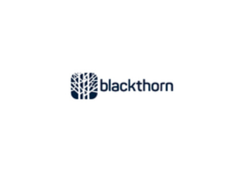 Blackthorn Logo (EUIPO, 01/17/2022)