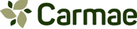 CARMAE Logo (EUIPO, 10/11/2024)