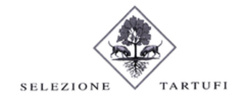 SELEZIONE TARTUFI Logo (EUIPO, 04.04.2003)