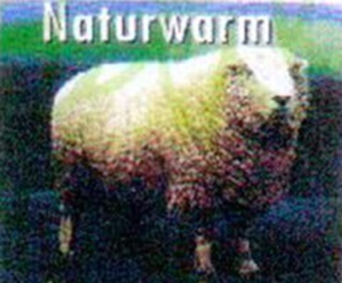 naturwarm Logo (EUIPO, 01/17/2011)