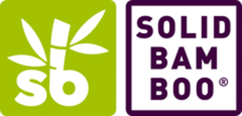 SOLID BAMBOO Logo (EUIPO, 14.08.2019)