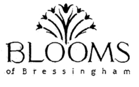 BLOOMS of Bressingham Logo (EUIPO, 05/22/2000)