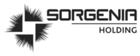 SORGENIA HOLDING Logo (EUIPO, 01.08.2014)