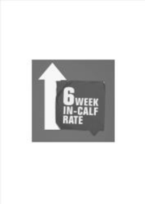 6 WEEK IN-CALF RATE Logo (EUIPO, 28.08.2014)