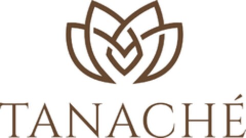 TANACHÉ Logo (EUIPO, 20.12.2018)