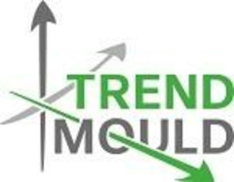 TREND MOULD Logo (EUIPO, 11/07/2022)