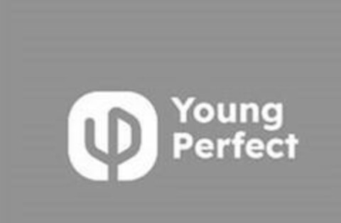 Young Perfect Logo (EUIPO, 03/27/2023)