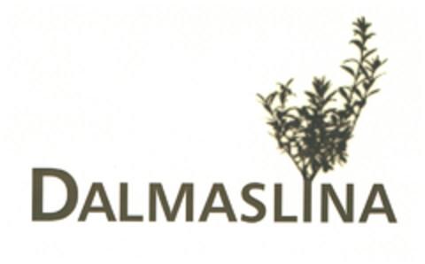 DALMASLINA Logo (EUIPO, 14.04.2009)