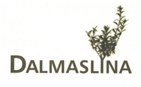 DALMASLINA Logo (EUIPO, 04/14/2009)