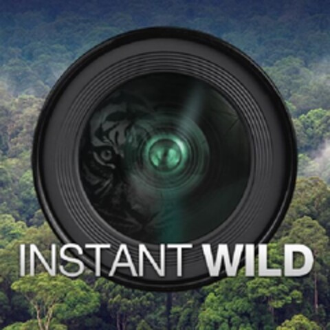 INSTANT WILD Logo (EUIPO, 07/10/2013)