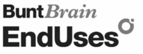 BUNTBRAIN ENDUSES Logo (EUIPO, 11/10/2020)