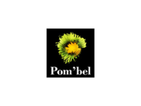 POM'BEL Logo (EUIPO, 04/06/2017)