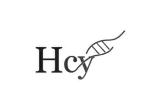 Hcy Logo (EUIPO, 27.05.2021)