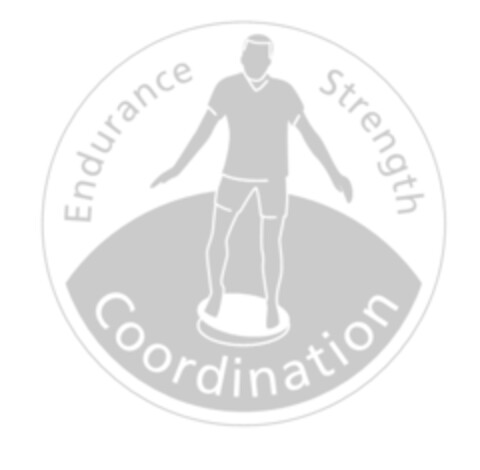 Endurance Strength Coordination Logo (EUIPO, 11.08.2006)