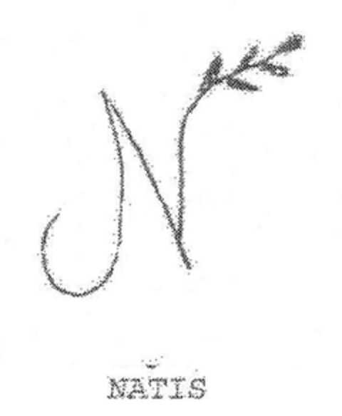 N NATIS Logo (EUIPO, 13.06.2008)