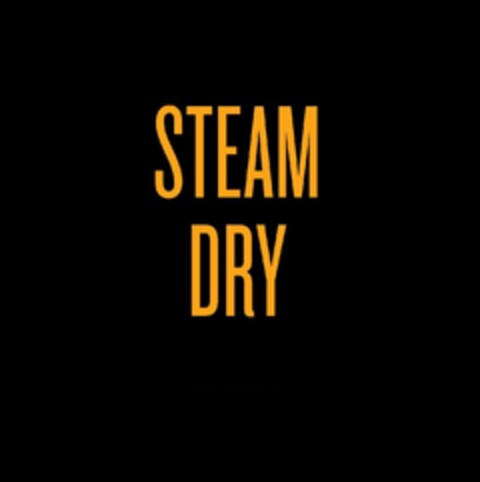 STEAM DRY Logo (EUIPO, 02.04.2013)