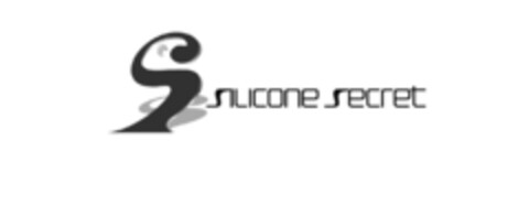 SSILICONE SECRET Logo (EUIPO, 04/14/2017)