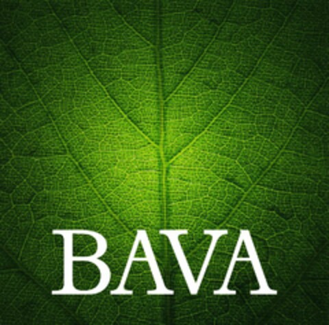 BAVA Logo (EUIPO, 01.12.2020)