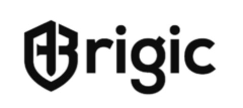 Brigic Logo (EUIPO, 28.01.2022)