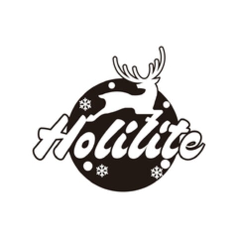 Holilite Logo (EUIPO, 22.12.2023)