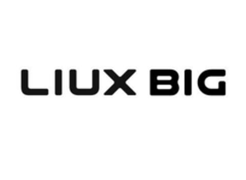 LIUX BIG Logo (EUIPO, 25.06.2024)