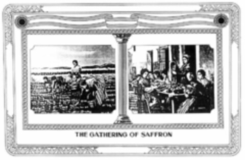 THE GATHERING OF SAFFRON Logo (EUIPO, 17.05.1999)