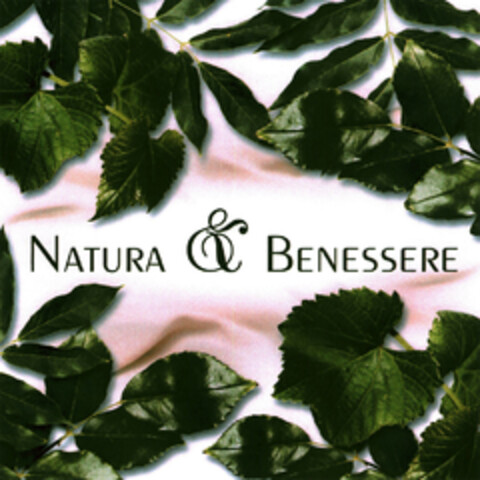 NATURA & BENESSERE Logo (EUIPO, 26.08.2004)