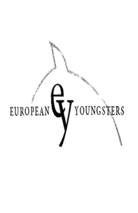 ey EUROPEAN YOUNGSTERS Logo (EUIPO, 22.12.2009)