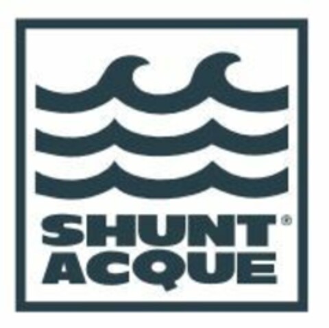 SHUNT ACQUE Logo (EUIPO, 03/03/2016)