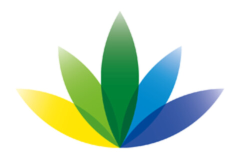  Logo (EUIPO, 20.02.2017)